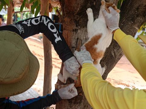 โครงการรณรงค์ฉีดวัคซีนป้องกันโรคพิษสุนัขบ้าฯ ประจำปีงบประมาณ 2568 (วันที่ 17 มีนาคม 2568 ณ บ้านหนองหมี หมู่ที่ 6)