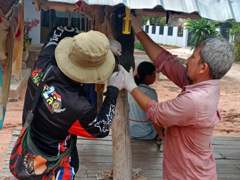 โครงการรณรงค์ฉีดวัคซีนป้องกันโรคพิษสุนัขบ้าฯ ประจำปีงบประมาณ 2568 (วันที่ 17 มีนาคม 2568 ณ บ้านหนองหมี หมู่ที่ 6)