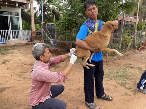 โครงการรณรงค์ฉีดวัคซีนป้องกันโรคพิษสุนัขบ้าฯ ประจำปีงบประมาณ 2568 (วันที่ 17 มีนาคม 2568 ณ บ้านหนองหมี หมู่ที่ 6)