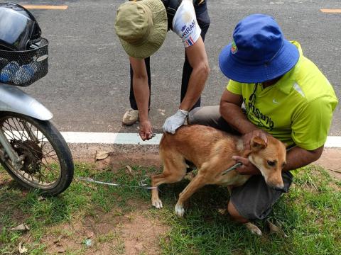 โครงการรณรงค์ฉีดวัคซีนป้องกันโรคพิษสุนัขบ้าฯ ประจำปีงบประมาณ 2568