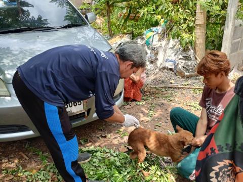 โครงการรณรงค์ฉีดวัคซีนป้องกันโรคพิษสุนัขบ้าฯ ประจำปีงบประมาณ 2568