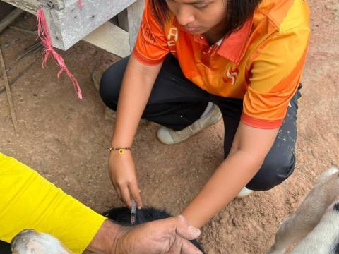 โครงการรณรงค์ฉีดวัคซีนป้องกันโรคพิษสุนัขบ้าฯ ประจำปีงบประมาณ 2568