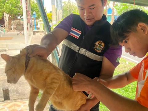 โครงการรณรงค์ฉีดวัคซีนป้องกันโรคพิษสุนัขบ้าฯ ประจำปีงบประมาณ 2568