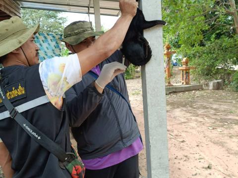 โครงการรณรงค์ฉีดวัคซีนป้องกันโรคพิษสุนัขบ้าฯ ประจำปีงบประมาณ 2568