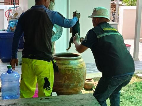 โครงการรณรงค์ฉีดวัคซีนป้องกันโรคพิษสุนัขฯ ประจำปีงบประมาณ 2568 ณ บ้านหนองหมี ม.10