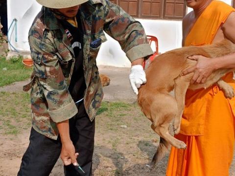 โครงการรณรงค์ฉีดวัคซีนป้องกันโรคพิษสุนัขฯ ประจำปีงบประมาณ 2568 ณ บ้านหนองหมี ม.10