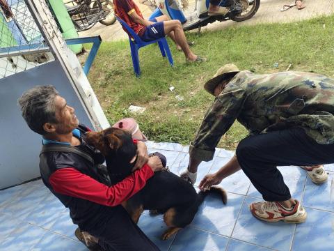 โครงการรณรงค์ฉีดวัคซีนป้องกันโรคพิษสุนัขบ้าฯ บ้านหนองตะครองน้อย หมู่ที่ 8