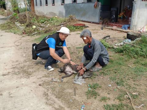 โครงการรณรงค์ฉีดวัคซีนป้องกันโรคพิษสุนัขบ้าฯ บ้านหนองตะครองน้อย หมู่ที่ 8