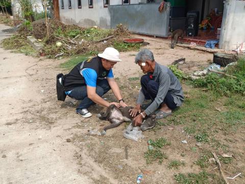 โครงการรณรงค์ฉีดวัคซีนป้องกันโรคพิษสุนัขบ้าฯ บ้านหนองตะครองน้อย หมู่ที่ 8