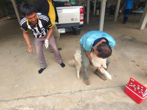 โครงการรณงค์ฉีดวัคซีนป้องกันโรคพิษสุนัขบ้าฯ บ้านสมจิต หมู่ที่ 5
