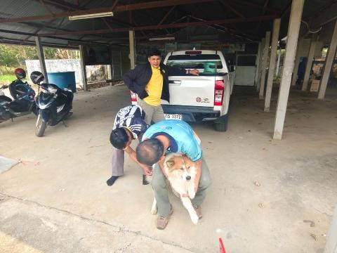 โครงการรณงค์ฉีดวัคซีนป้องกันโรคพิษสุนัขบ้าฯ บ้านสมจิต หมู่ที่ 5