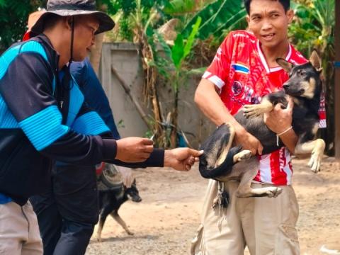 โครงการรณงค์ฉีดวัคซีนป้องกันโรคพิษสุนัขบ้าฯ บ้านสมจิต หมู่ที่ 5