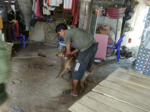 โครงการรณรงค์ฉีดวัคซีนป้องกันโรคพิษสุนัขบ้าฯ ประจำปีงบประมาณ 2568