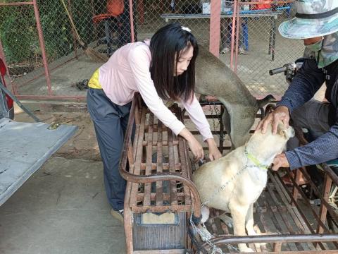 โครงการรณรงค์ฉีดวัคซีนป้องกันโรคพิษสุนัขบ้าฯ ประจำปีงบประมาณ 2568
