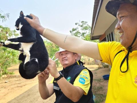 โครงการรณรงค์ฉีดวัคซีนป้องกันโรคพิษสุนัขบ้าฯ ประจำปีงบประมาณ 2568