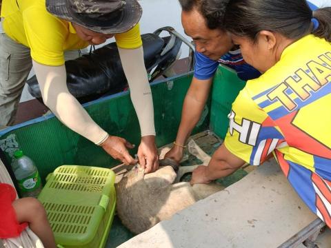 โครงการรณรงค์ฉีดวัคซีนป้องกันโรคพิษสุนัขบ้าฯ ประจำปีงบประมาณ 2568