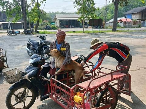 โครงการรณรงค์ฉีดวัคซีนป้องกันโรคพิษสุนัขบ้าฯ ประจำปีงบประมาณ 2568