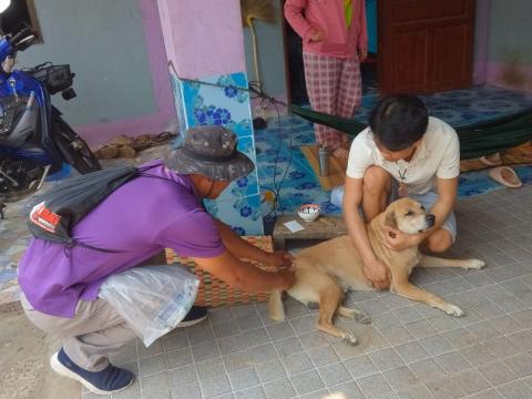 โครงการรณรงค์ฉีดวัคซีนป้องกันโรคพิษสุนัขบ้าฯ ประจำปีงบประมาณ 2568