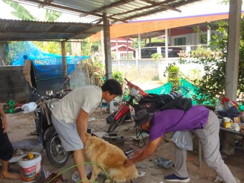 โครงการรณรงค์ฉีดวัคซีนป้องกันโรคพิษสุนัขบ้าฯ ประจำปีงบประมาณ 2568