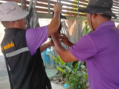 โครงการรณรงค์ฉีดวัคซีนป้องกันโรคพิษสุนัขบ้าฯ ประจำปีงบประมาณ 2568