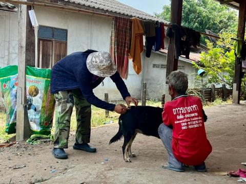 โครงการรณรงค์ฉีดวัคซีนป้องกันโรคพิษสุนัขบ้าฯ ประจำปีงบประมาณ 2568