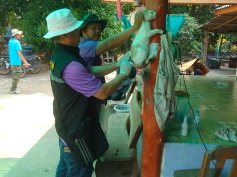 โครงการรณรงค์ฉีดวัคซีนป้องกันโรคพิษสุนัขบ้าฯ ประจำปีงบประมาณ 2568