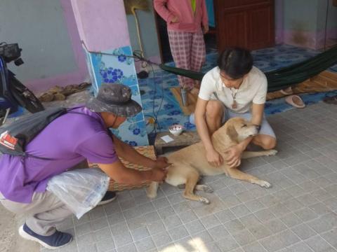 โครงการรณรงค์ฉีดวัคซีนป้องกันโรคพิษสุนัขบ้าฯ ประจำปีงบประมาณ 2568