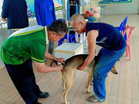 โครงการรณรงค์ฉีดวัคซีนป้องกันโรคพิษสุนัขบ้าฯ ประจำปีงบประมาณ 2568