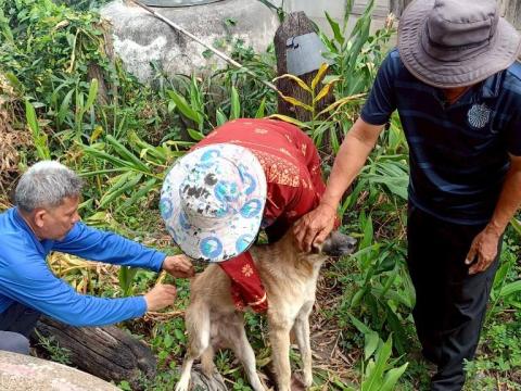 โครงการรณรงค์ฉีดวัคซีนป้องกันโรคพิษสุนัขบ้าฯ ประจำปีงบประมาณ 2568