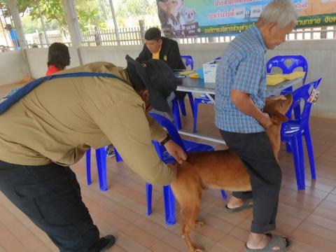 โครงการรณรงค์ฉีดวัคซีนป้องกันโรคพิษสุนัขบ้าฯ ประจำปีงบประมาณ 2568