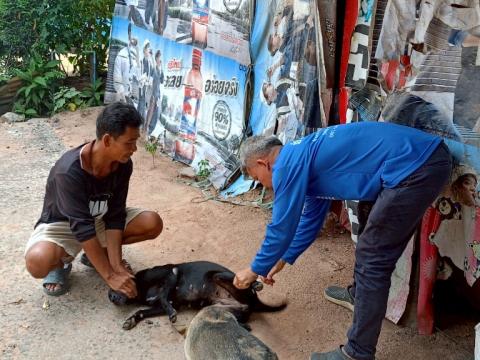 โครงการรณรงค์ฉีดวัคซีนป้องกันโรคพิษสุนัขบ้าฯ ประจำปีงบประมาณ 2568