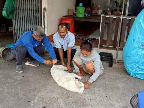 โครงการรณรงค์ฉีดวัคซีนป้องกันโรคพิษสุนัขบ้าฯ ประจำปีงบประมาณ 2568