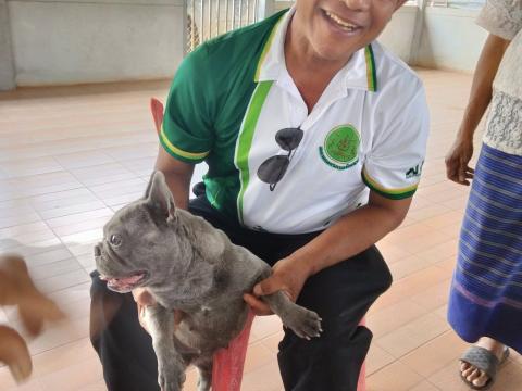 โครงการรณรงค์ฉีดวัคซีนป้องกันโรคพิษสุนัขบ้าฯ ประจำปีงบประมาณ 2568