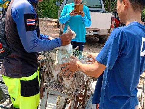 โครงการรณรงค์ฉีดวัคซีนป้องกันโรคพิษสุนัขบ้าฯ ประจำปีงบประมาณ 2568