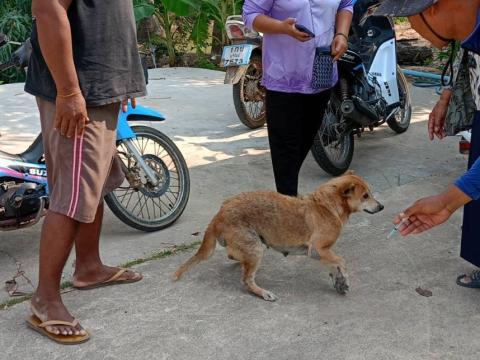 โครงการรณรงค์ฉีดวัคซีนป้องกันโรคพิษสุนัขบ้าฯ ประจำปีงบประมาณ 2568