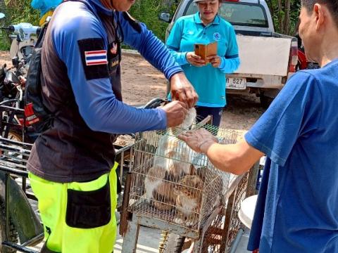 โครงการรณรงค์ฉีดวัคซีนป้องกันโรคพิษสุนัขบ้าฯ ประจำปีงบประมาณ 2568
