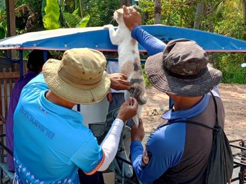โครงการรณรงค์ฉีดวัคซีนป้องกันโรคพิษสุนัขบ้าฯ ประจำปีงบประมาณ 2568