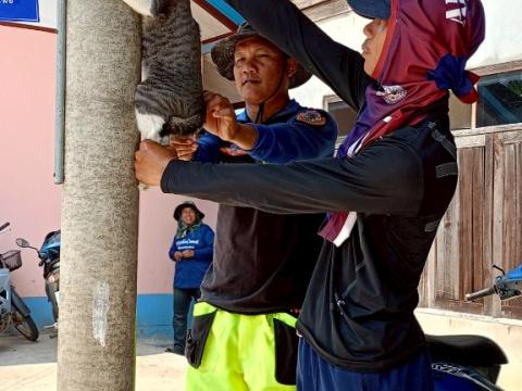 โครงการรณรงค์ฉีดวัคซีนป้องกันโรคพิษสุนัขบ้าฯ ประจำปีงบประมาณ 2568