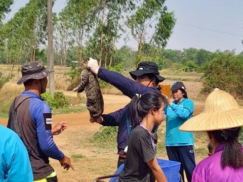 โครงการรณรงค์ฉีดวัคซีนป้องกันโรคพิษสุนัขบ้าฯ ประจำปีงบประมาณ 2568