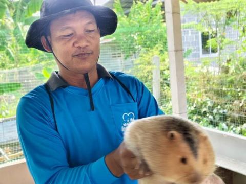 โครงการรณรงค์ฉีดวัคซีนป้องกันโรคพิษสุนัขบ้าฯ ประจำปีงบประมาณ 2568