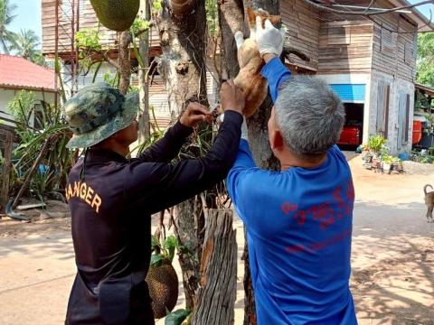 โครงการรณรงค์ฉีดวัคซีนป้องกันโรคพิษสุนัขบ้าฯ ประจำปีงบประมาณ 2568