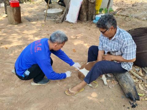 โครงการรณรงค์ฉีดวัคซีนป้องกันโรคพิษสุนัขบ้าฯ ประจำปีงบประมาณ 2568