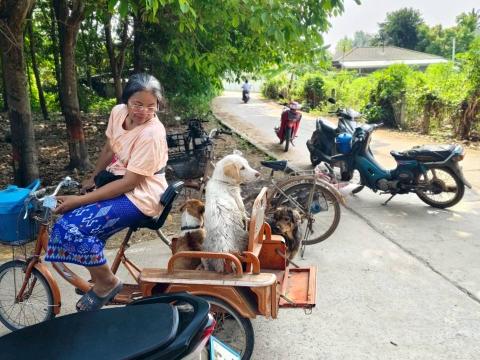 โครงการรณรงค์ฉีดวัคซีนป้องกันโรคพิษสุนัขบ้าฯ ประจำปีงบประมาณ 2568