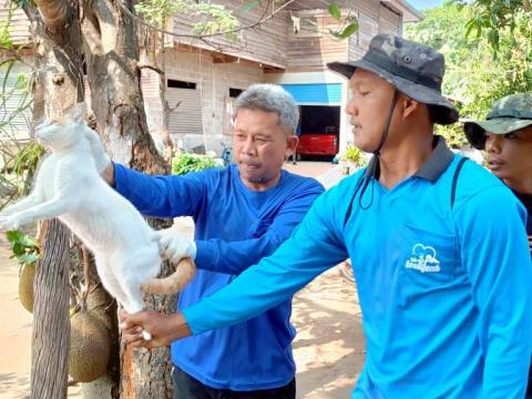 โครงการรณรงค์ฉีดวัคซีนป้องกันโรคพิษสุนัขบ้าฯ ประจำปีงบประมาณ 2568