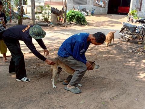 โครงการรณรงค์ฉีดวัคซีนป้องกันโรคพิษสุนัขบ้าฯ ประจำปีงบประมาณ 2568