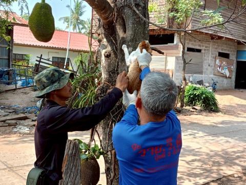 โครงการรณรงค์ฉีดวัคซีนป้องกันโรคพิษสุนัขบ้าฯ ประจำปีงบประมาณ 2568