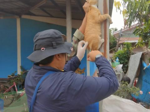 โครงการรณรงค์ฉีดวัคซีนป้องกันโรคพิษสุนัขบ้าฯ ประจำปีงบประมาณ 2568