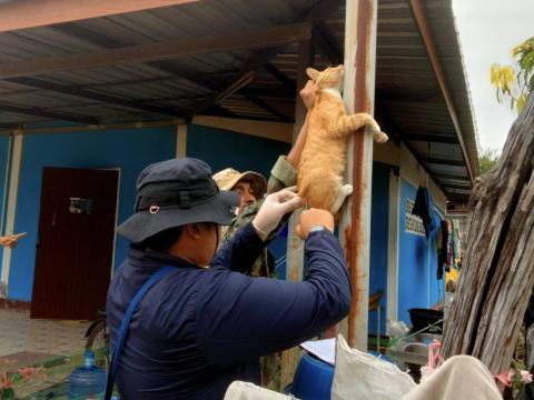 โครงการรณรงค์ฉีดวัคซีนป้องกันโรคพิษสุนัขบ้าฯ ประจำปีงบประมาณ 2568
