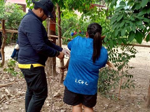 โครงการรณรงค์ฉีดวัคซีนป้องกันโรคพิษสุนัขบ้าฯ ประจำปีงบประมาณ 2568