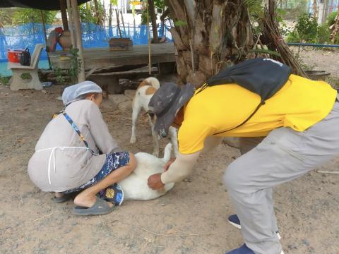 โครงการรณรงค์ฉีดวัคซีนป้องกันโรคพิษสุนัขบ้าฯ ประจำปีงบประมาณ 2568